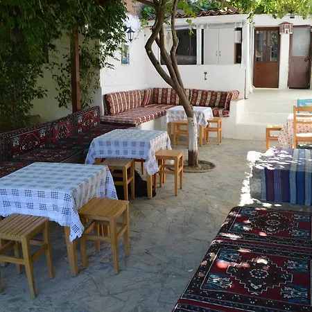 Alya * Selçuk