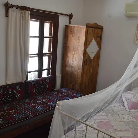 Alya * Selçuk