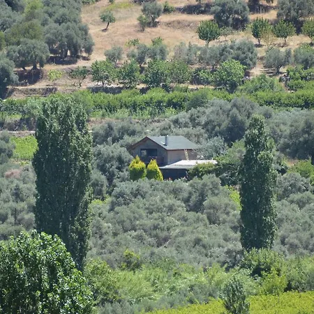 Alya * Selçuk