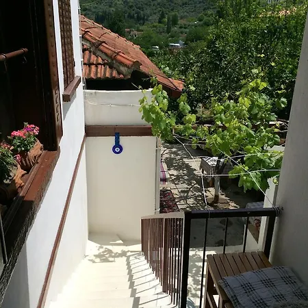 Alya * Selçuk