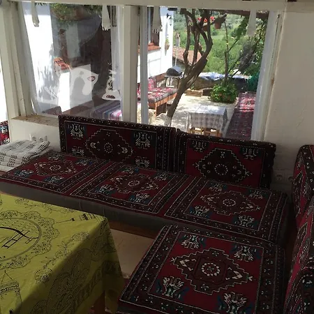 Alya * Selçuk